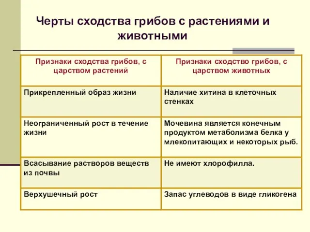 Черты сходства грибов с растениями и животными