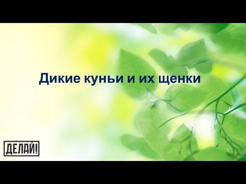 Дикие куньи и их щенки