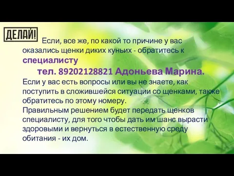 Если, все же, по какой то причине у вас оказались щенки диких