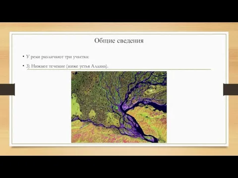 Общие сведения У реки различают три участка: 3) Нижнее течение (ниже устья Алдана).