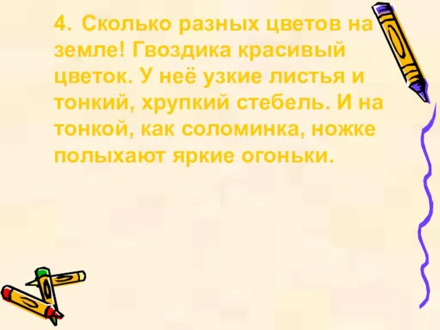 4. Сколько разных цветов на земле! Гвоздика красивый цветок. У неё узкие