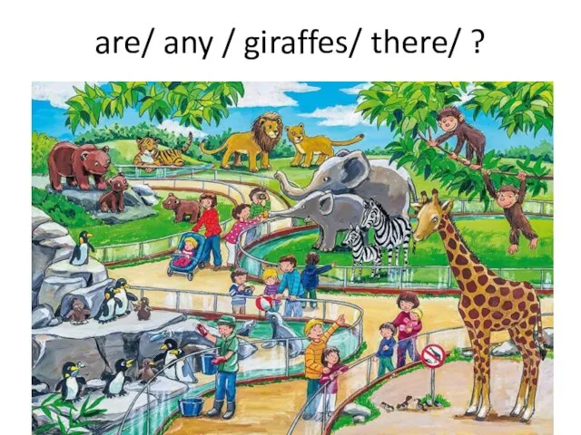 are/ any / giraffes/ there/ ?
