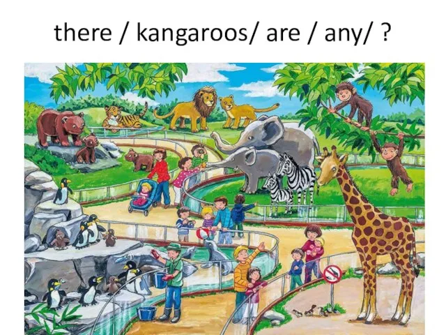 there / kangaroos/ are / any/ ?