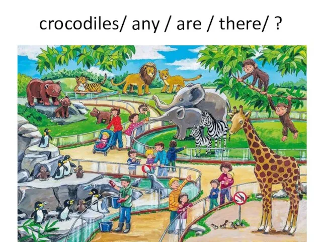 crocodiles/ any / are / there/ ?