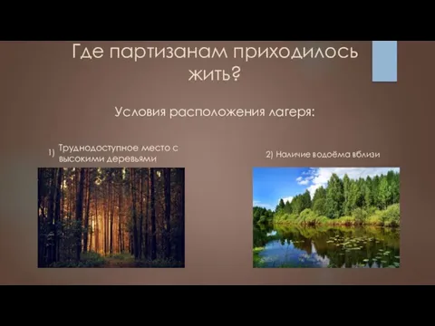 Где партизанам приходилось жить? Условия расположения лагеря: Труднодоступное место с высокими деревьями