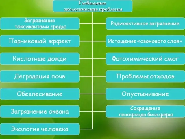 Глобальные экологические проблемы *