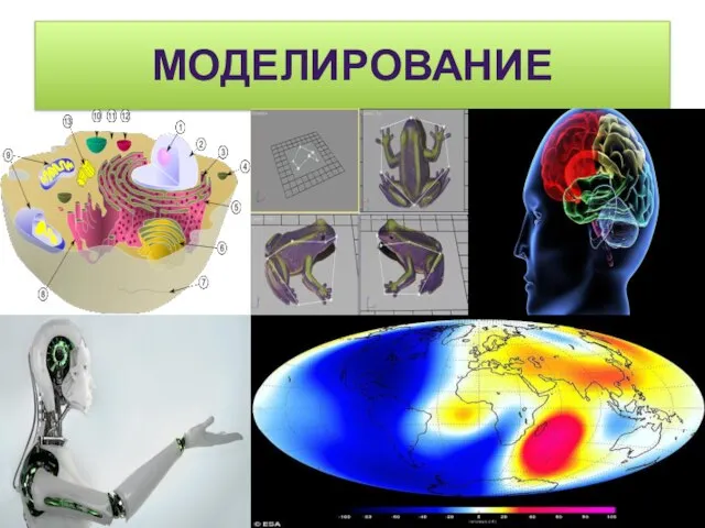 МОДЕЛИРОВАНИЕ