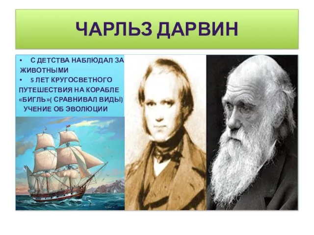 ЧАРЛЬЗ ДАРВИН С ДЕТСТВА НАБЛЮДАЛ ЗА ЖИВОТНЫМИ 5 ЛЕТ КРУГОСВЕТНОГО ПУТЕШЕСТВИЯ НА
