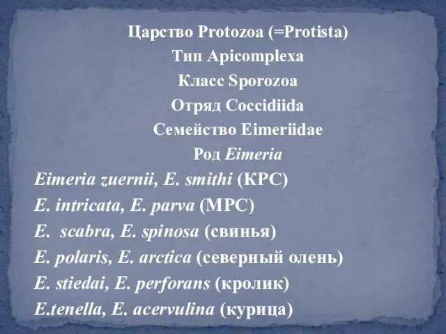 Царство Protozoa (=Protista) Тип Apicomplexa Класс Sporozoa Отряд Coccidiida Семейство Eimeriidae Род