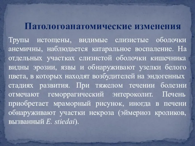 Патологоанатомические изменения Трупы истощены, видимые слизистые оболочки анемичны, наблюдается катаральное воспаление. На