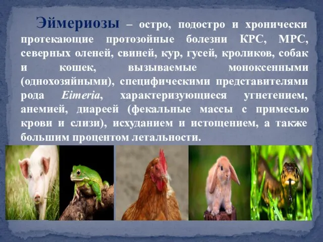 Эймериозы – остро, подостро и хронически протекающие протозойные болезни КРС, МРС, северных