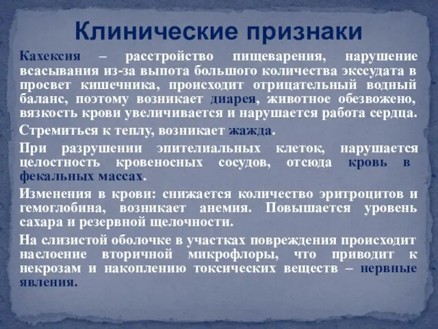 Кахексия – расстройство пищеварения, нарушение всасывания из-за выпота большого количества экссудата в