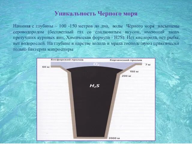 Уникальность Черного моря Начиная с глубины ~ 100 -150 метров до дна,