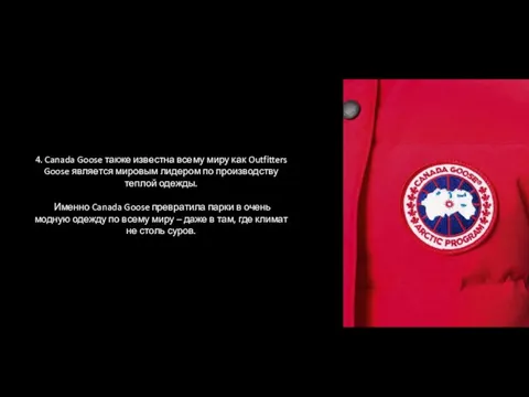 4. Canada Goose также известна всему миру как Outfitters Goose является мировым