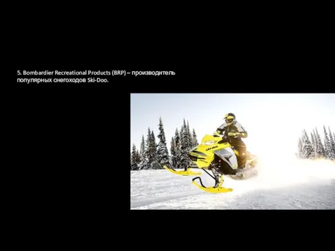 5. Bombardier Recreational Products (BRP) – производитель популярных снегоходов Ski-Doo.