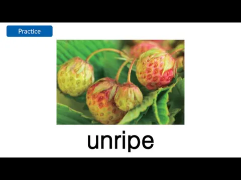 unripe