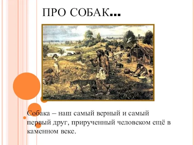 ПРО СОБАК… Собака – наш самый верный и самый первый друг, прирученный