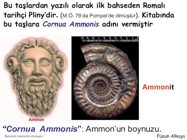 “Cornua Ammonis”: Ammon’un boynuzu. Bu taşlardan yazılı olarak ilk bahseden Romalı tarihçi