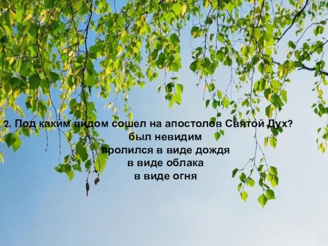 2. Под каким видом сошел на апостолов Святой Дух? был невидим пролился