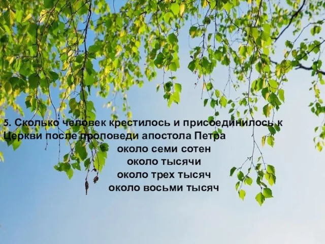 5. Сколько человек крестилось и присоединилось к Церкви после проповеди апостола Петра