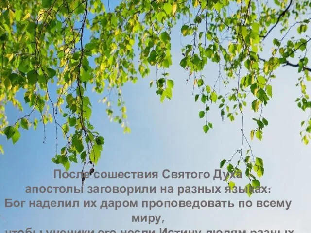 После сошествия Святого Духа апостолы заговорили на разных языках: Бог наделил их