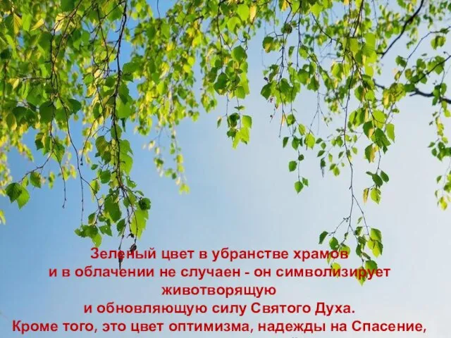 Зеленый цвет в убранстве храмов и в облачении не случаен - он