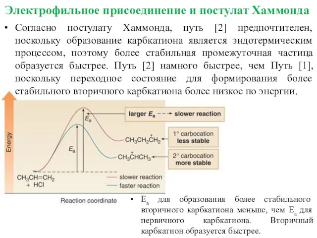 Согласно постулату Хаммонда, путь [2] предпочтителен, поскольку образование карбкатиона является эндотермическим процессом,