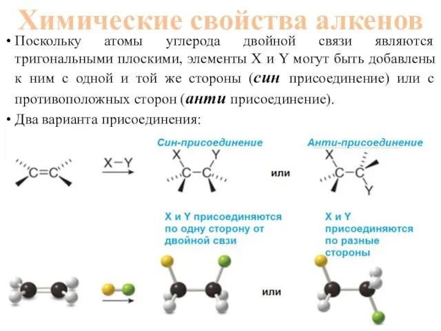 Поскольку атомы углерода двойной связи являются тригональными плоскими, элементы X и Y