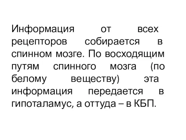 Информация от всех рецепторов собирается в спинном мозге. По восходящим путям спинного