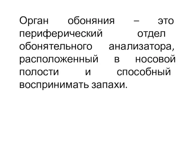 Орган обоняния – это периферический отдел обонятельного анализатора, расположенный в носовой полости и способный воспринимать запахи.