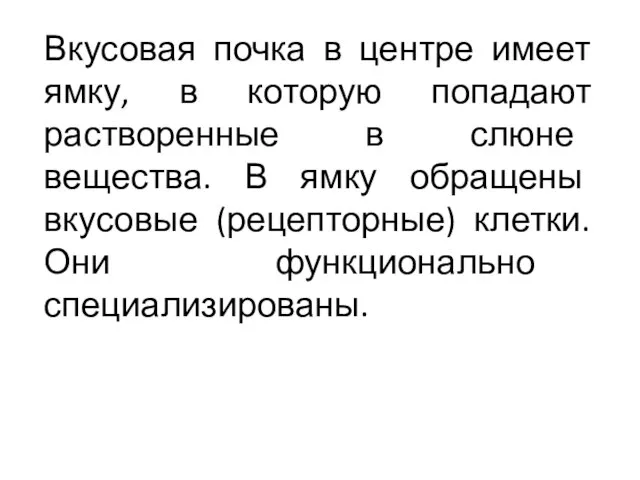 Вкусовая почка в центре имеет ямку, в которую попадают растворенные в слюне