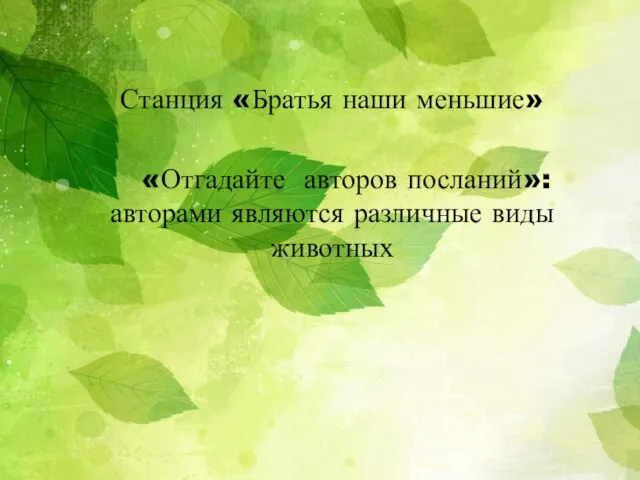 Станция «Братья наши меньшие» «Отгадайте авторов посланий»: авторами являются различные виды животных