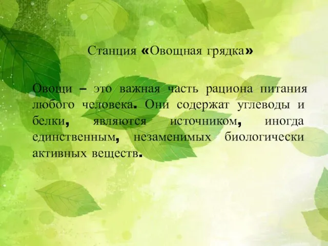 Станция «Овощная грядка» Овощи – это важная часть рациона питания любого человека.