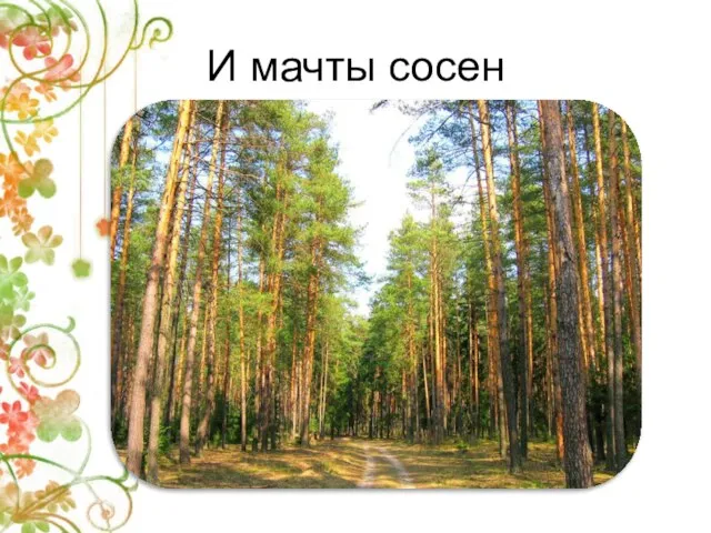 И мачты сосен