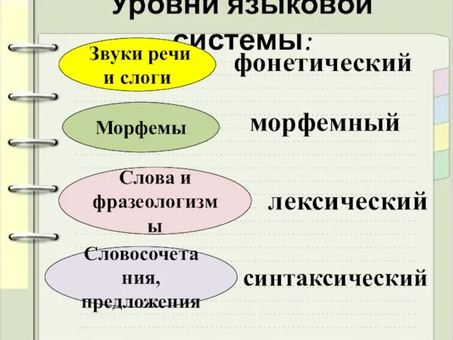 Уровни языковой системы: Звуки речи и слоги Морфемы Слова и фразеологизмы Словосочетания,