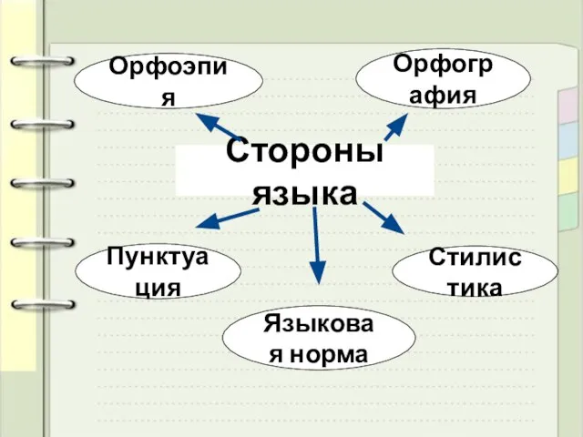 Стороны языка Орфоэпия Орфография Пунктуация Стилистика Языковая норма