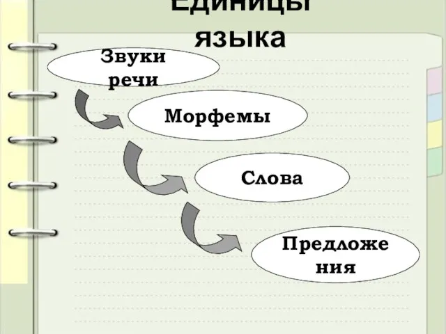 Единицы языка Звуки речи Морфемы Предложения Слова