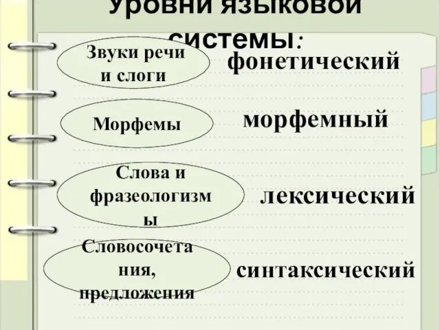 Уровни языковой системы: Звуки речи и слоги Морфемы Слова и фразеологизмы Словосочетания,