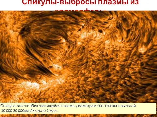 Спикулы-выбросы плазмы из хромосферы Спикула-это столбик светящейся плазмы диаметром 500-1200км и высотой