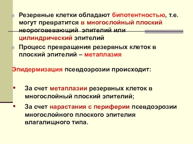 Резервные клетки обладают бипотентностью, т.е. могут превратится в многослойный плоский неороговевающий эпителий