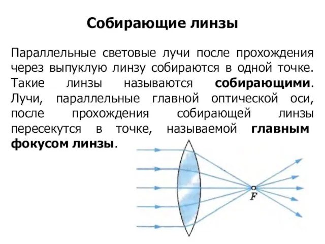 Параллельные световые лучи после прохождения через выпуклую линзу собираются в одной точке.