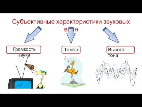 Субъективные характеристики звуковых волн Громкость звука Тембр Высота тона