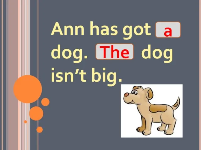 Ann has got dog. dog isn’t big. The a