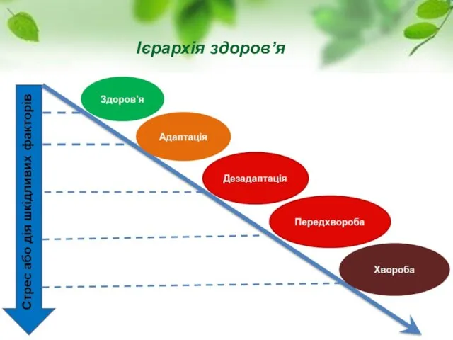 Ієрархія здоров’я