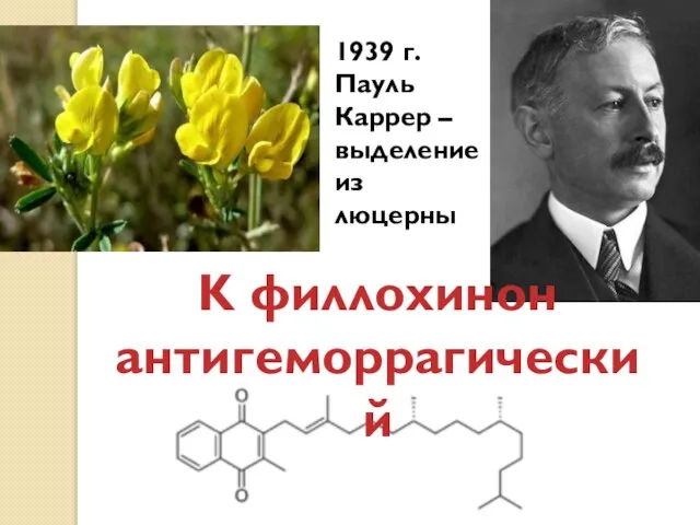 1939 г. Пауль Каррер – выделение из люцерны K филлохинон антигеморрагический
