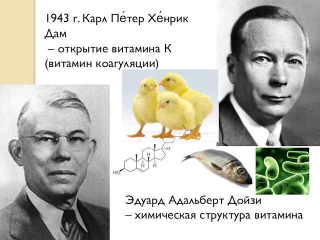 1943 г. Карл Пе́тер Хе́нрик Дам – открытие витамина К (витамин коагуляции)
