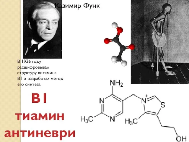 Казимир Функ В 1936 году расшифровывал структуру витамина B1 и разработал метод