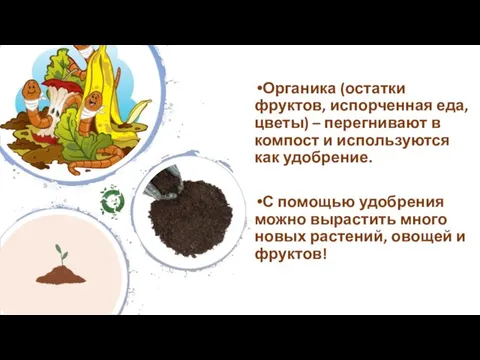 Органика (остатки фруктов, испорченная еда, цветы) – перегнивают в компост и используются