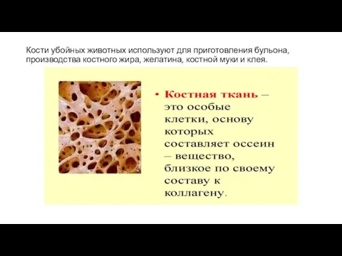 Кости убойных животных используют для приготовления бульона, производства костного жира, желатина, костной муки и клея.