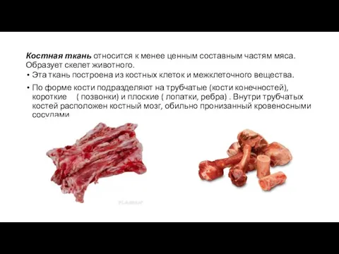 Костная ткань относится к менее ценным составным частям мяса. Образует скелет животного.